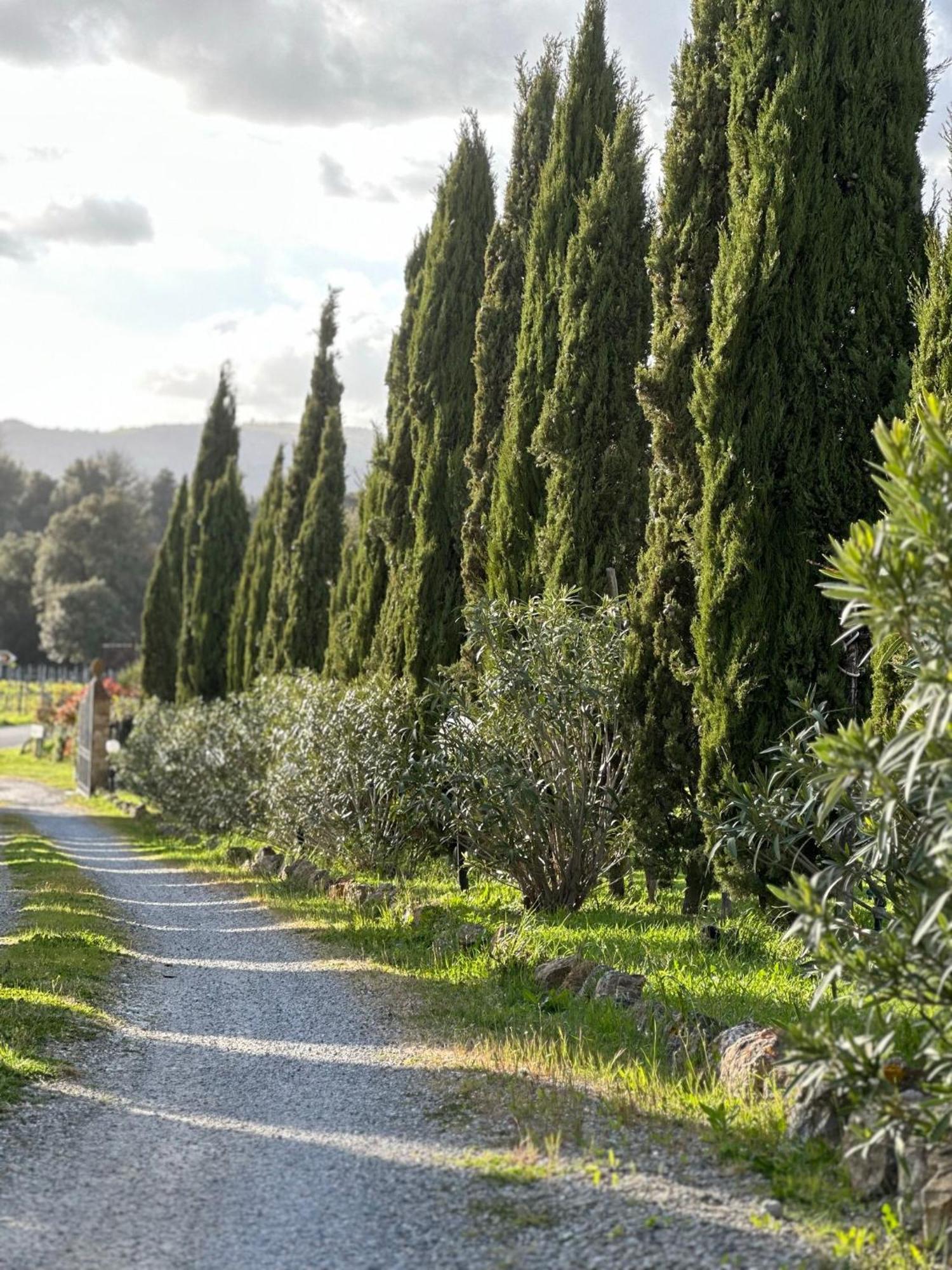 Antico Borgo Il Cardino Bed & Breakfast San Gimignano Exterior photo